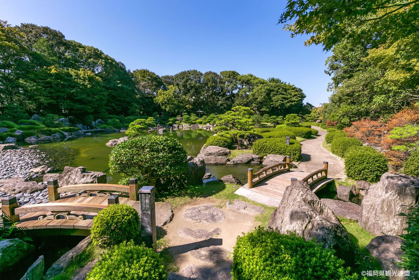 Fukuoka Art & Culture Guided Tour: Japanese Garden, Asian Art Museum & Hakata Doll Experience