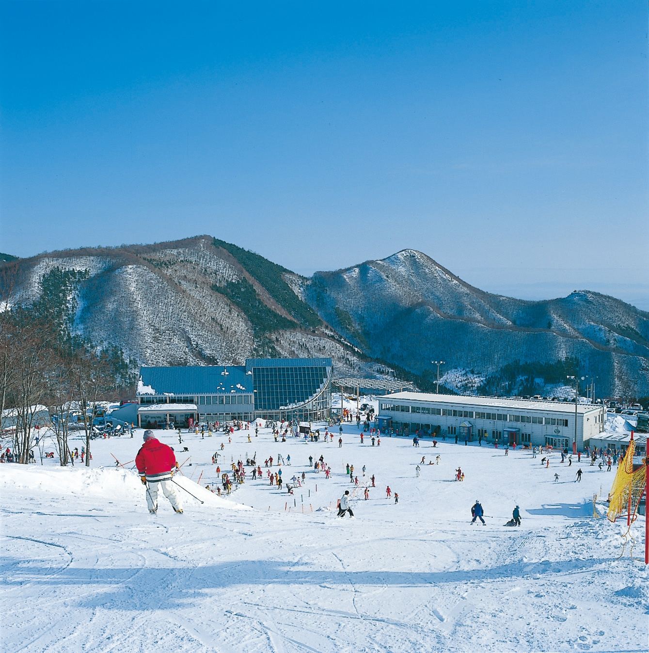 Miyagi Winter Adventure: Snowy Fun at Spring Valley & Sweet Strawberry Picking from Sendai