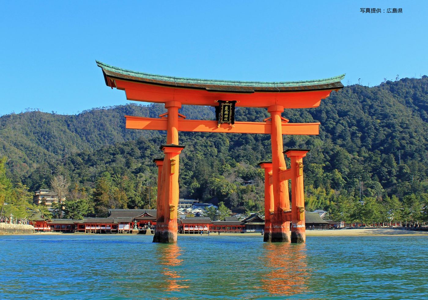 Hiroshima and Miyajima 1 Day Bus Tour NO LUNCH