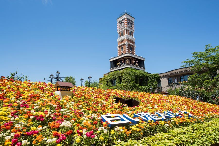 Sapporo Morning Tour/Shiroi Koibito Park , Central Wholesale Market & Mt Okura Ski Jump Stadium Tour (Multilingual Audio Tour)