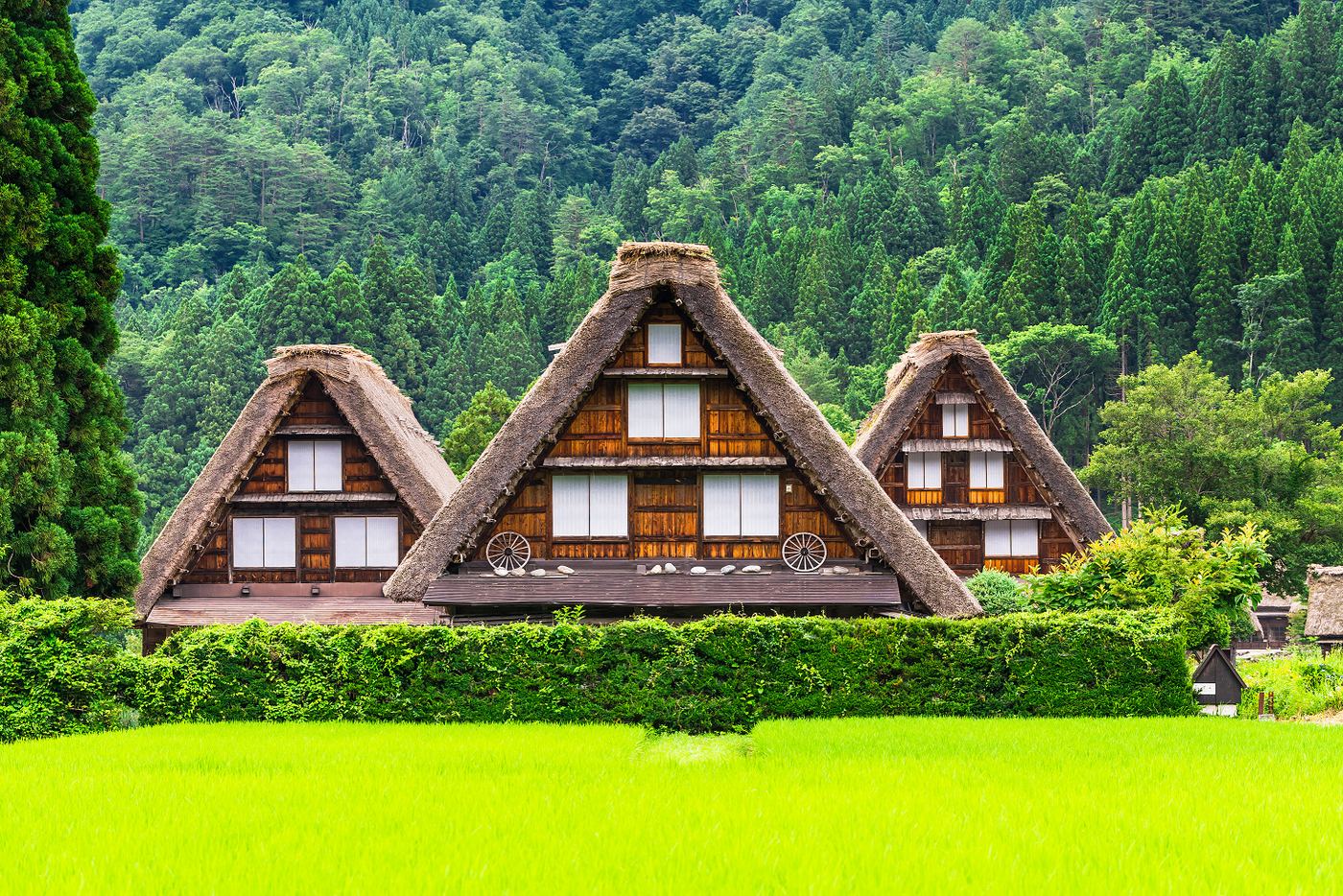 Shirakawago and Takayama 1 Day Bus Tour from Nagoya